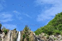27798672_Unknown