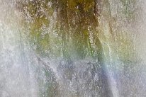27798800_Unknown
