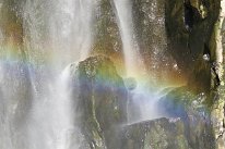 27798832_Unknown