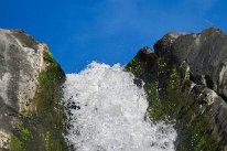 27798864_Unknown
