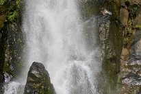 27798880_Unknown