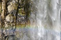 27798912_Unknown