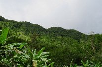 27799792_Unknown