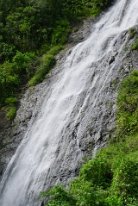 27799920_Unknown