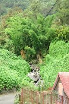 27800592_Unknown