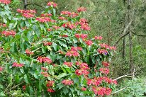 27800704_Unknown