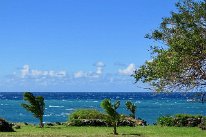 27801168_Unknown