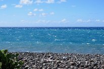 27801200_Unknown