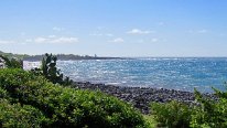 27801216_Unknown