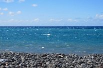 27801232_Unknown