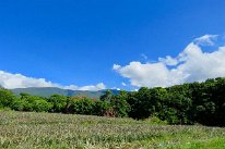27801552_Unknown