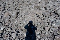27801680_Unknown