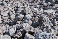 27801712_Unknown