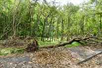 27801808_Unknown