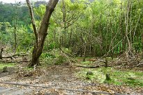 27801824_Unknown