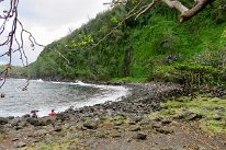 27801952_Unknown