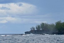 27801968_Unknown