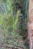 27802048_Unknown