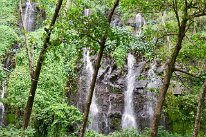 27802080_Unknown