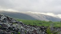 27802496_Unknown