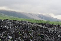 27802528_Unknown
