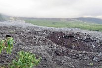 27802608_Unknown