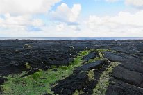 27802720_Unknown