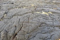 27802736_Unknown