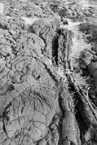27802752_Unknown