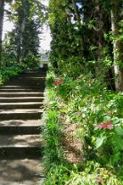 27806512_Unknown