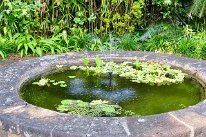 27806592_Unknown