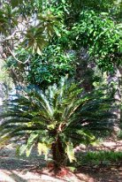27806608_Unknown