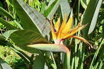 27806672_Unknown