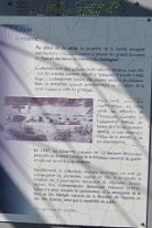 27806736_Unknown