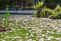27806752_Unknown
