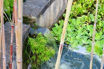 27806800_Unknown