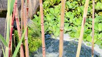 27806816_Unknown