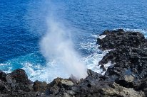 27809024_Unknown