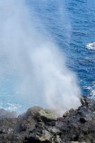 27809152_Unknown