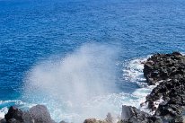 27809248_Unknown