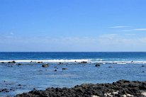27809344_Unknown