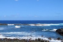 27809408_Unknown