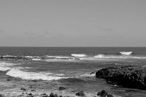 27809424_Unknown