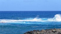 27809440_Unknown