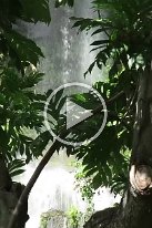 27809984_Unknown