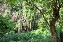 27810080_Unknown