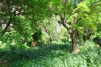 27810128_Unknown