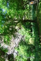 27810160_Unknown