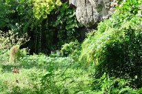 27810192_Unknown