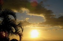 27810256_Unknown